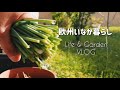 Life & Garten Vlog 【欧州いなか暮らし】ガーデンシューズ｜お庭で収穫｜チャプチェ作り|  Gartenschuhe, Ernte,  Asiatisch kochen