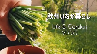 Life & Garten Vlog 【欧州いなか暮らし】ガーデンシューズ｜お庭で収穫｜チャプチェ作り|  Gartenschuhe, Ernte,  Asiatisch kochen