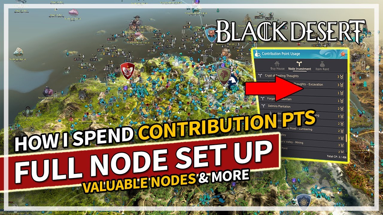How I Pick & Spend my Contribution Points - FULL SET UP | Black Desert ...