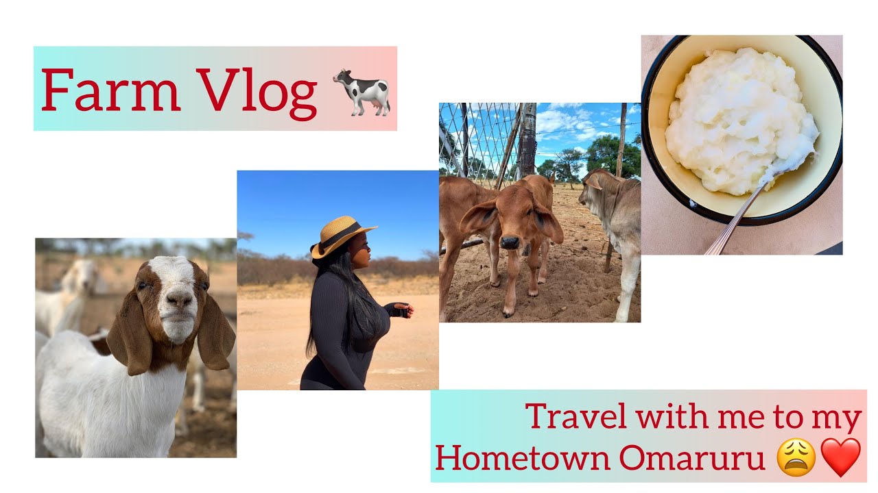 Farm Vlog || Travel with me to my home town in Omaruru 🐄😘❤️
