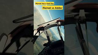 hornet vs adder - mig-29 finds f-18 #dcs #dcsworld #dogfight