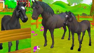 New Foal Training Star Stable Online Curly Horse App Video screenshot 5