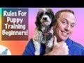 Training A Puppy For Beginners - The 5 Rules You Must Remember - Professional Dog Training Tips Training A Puppy For Beginners - The 5 Rules You Must Remember - Professional Dog Training Tips