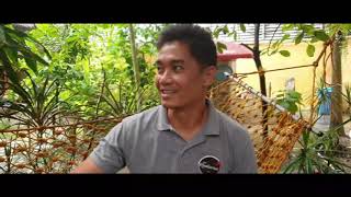 Episode 3: Roy's Rendezvous Guesthouse