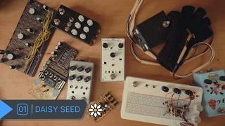 Celebrity What Is the Daisy Seed? Building a Digital Guitar Pedal from Scratch Wealth