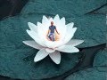Deva Premal Dakshina Full Album