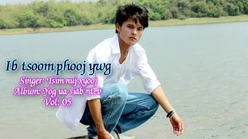 Ib Tsoom Phooj Ywg_Karaoke_Tsimnuj Xyooj_https://youtu.be/QKcKdGBxWRE