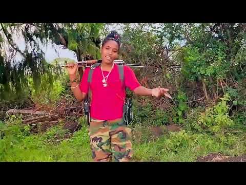 Wallee Qabsoo Bilisummaa Oromoo JAAL FALMII SABAA New Oromo Music 2025
