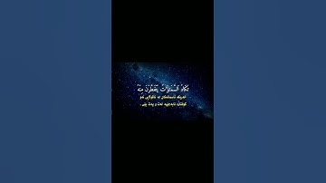 اواخر سورة مريم بإحساس رائع