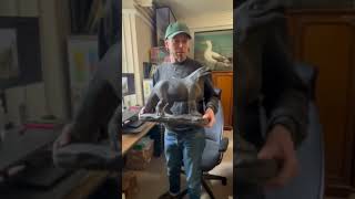 Petrification: Fossils and the Revelation of Deep Time - Iguanodon
