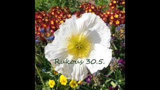 Rukous 30.5.