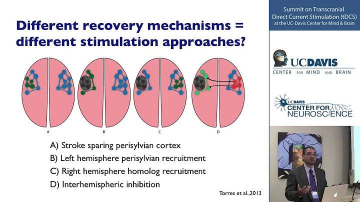 Clinical Applications of Transcranial Direct Current Stimulation