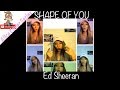 Alice : Ed Sheeran &quot; Shape of you &quot; Cover