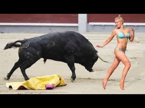 Don't you dare to laugh | Must Watch New Funny Video 2021 | Funny Fails at Life|  #Tedtalkx