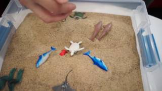 Sandtray Therapy