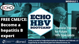 ECHO HBV Bootcamp G - Module One: Screening & Having the Conversation