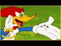 Woody Woodpecker Show | Party Animal | Full Episode | Videos For Kids