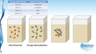 Zeta Potential