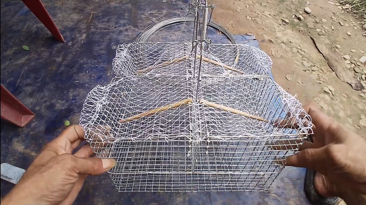 Cách Làm Bẫy Chim Sâu, (Vành Khuyên) Bốn Cánh Đơn Giản Minh Ngọc 0786 ...