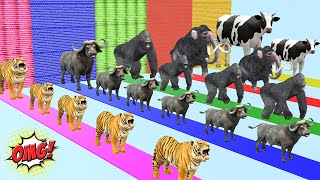 Cow Mammoth Elephant Gorilla Choose Right Wall With ESCAPE ROOM CHALLENGE Animals Matching Game