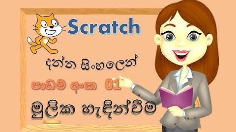 Scratch programing | ස්ක්‍රච් ක්‍රමලේඛ හැදින්වීම | Sinhala Tutorial |2024 |(clear explanation)