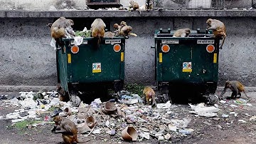 Bizarre : Use dustbin, get free Wi-Fi