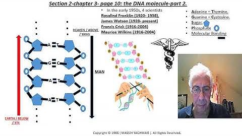 yin yang explained 01. Dao, the DNA molecule-part 2