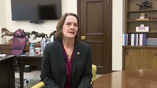 MSU Budget Deficit