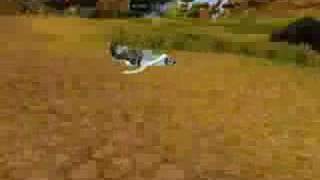 Flying tiger mount rofl xD