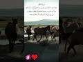 وأعدوا لهم ما استطعتم من قوة ومن رباط الخيل سورة الأنفال دعاء ورسالة
