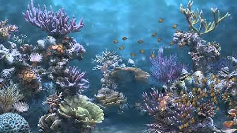 Fish Schooling - Flocking - Using The Boids Algorithm