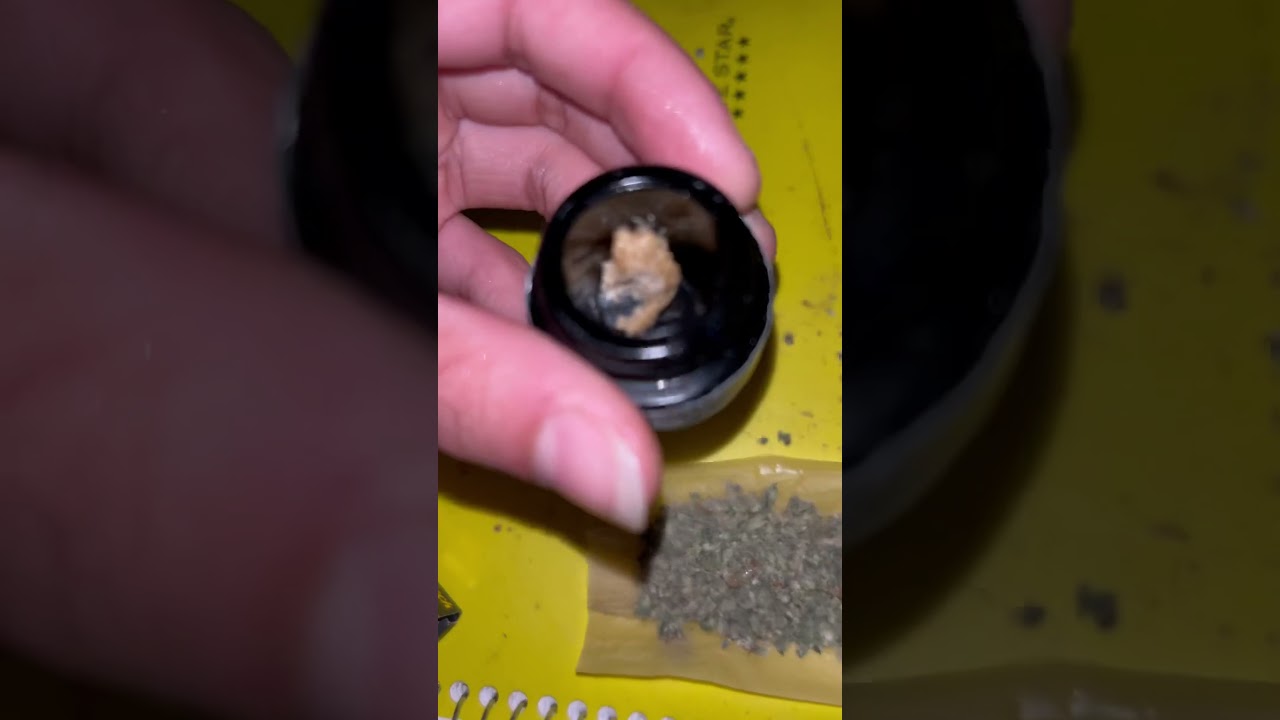 Rolling up a Donut Joint 🍩🔥💨 