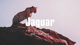 Amapiano x Dancehall Type Beat 2022 - Jaguar