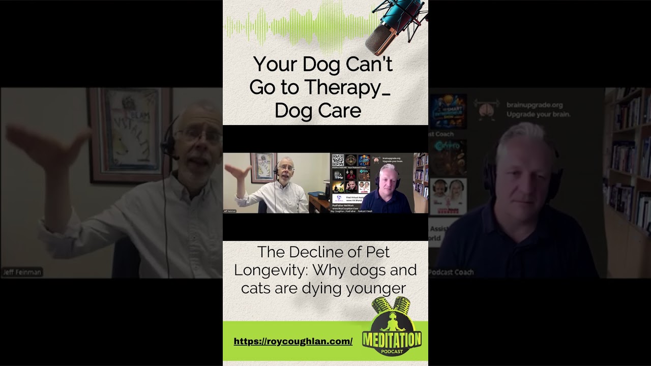 The Decline of Pet Longevity Why dogs and cats are dying younger