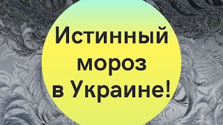 Метеоролог предупредил о сильных заморозках в Украине!