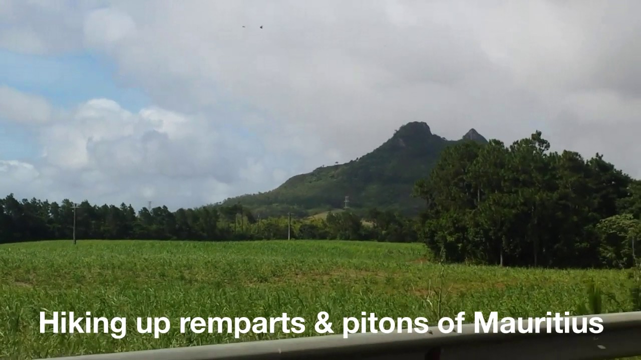 Hiking Lion Mountain Of Mauritius In Hd