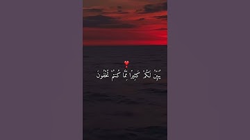 القران الكريم ( سورة المائدة ) 🌿 بصوت الشيخ ياسر الدوسري 🥀