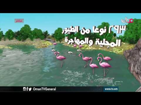 قهوة الصباح | الإثنين 24  أبريل 2017م