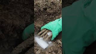 Using Dry Ice To Destroy A Yellow Jacket Wasp Nest. Mousetrap Monday Youtube Short