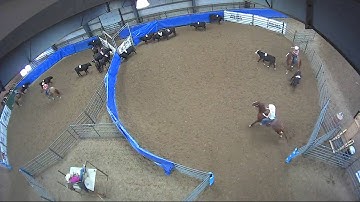 Big Sky Ranch Sorting Saddle Series #5 - #5 - Round #1 - Ride #24