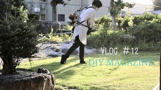 【Vlog】4ヶ月後の庭の様子/DIYで費用を抑えた庭作りもあり？