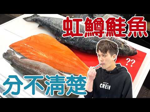 【踢爆】到現在還有假鮭魚流入市面？肉眼真的難以分辨【蛋塔】