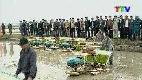 Hiệu quả hoạt động của một mô hình Hợp tác xã kiểu mới