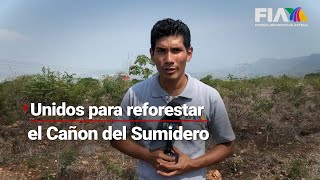 #Chiapas | Familias convocan a reforestar el Cañón del Sumidero