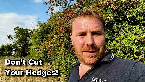 Why You Shouldn't Cut Your Hedgerows . . .