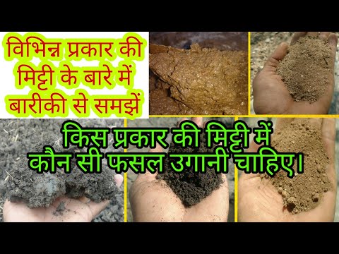 वीडियो: वायलेट्स के लिए मिट्टी: सेंटपॉलियास के लिए DIY मिट्टी। इनडोर पौधों के लिए सबसे अच्छी मिट्टी की संरचना क्या है और किस अम्लता की आवश्यकता है? समीक्षा