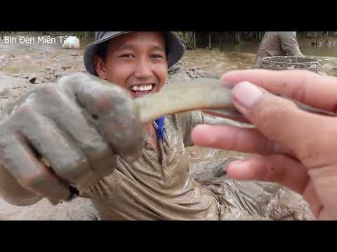 Video Bắt cá kèo mé sông. LẨU CÁ KÈO SÔNG - Bin Đen Miền Tây... - youtube