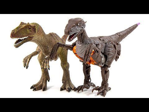 Transformers WFC Kingdom Beast Dinobot Velociraptor Dinosaur Robot Figure Toys