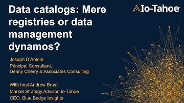 Data catalogs: mere registries or data management dynamos?