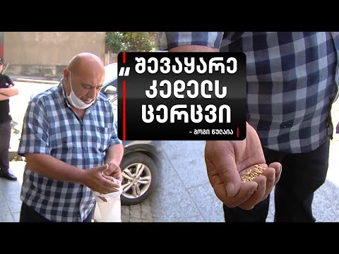 გოგი წულაიამ პოლიციის შენობას ცერცვი შეაყარა